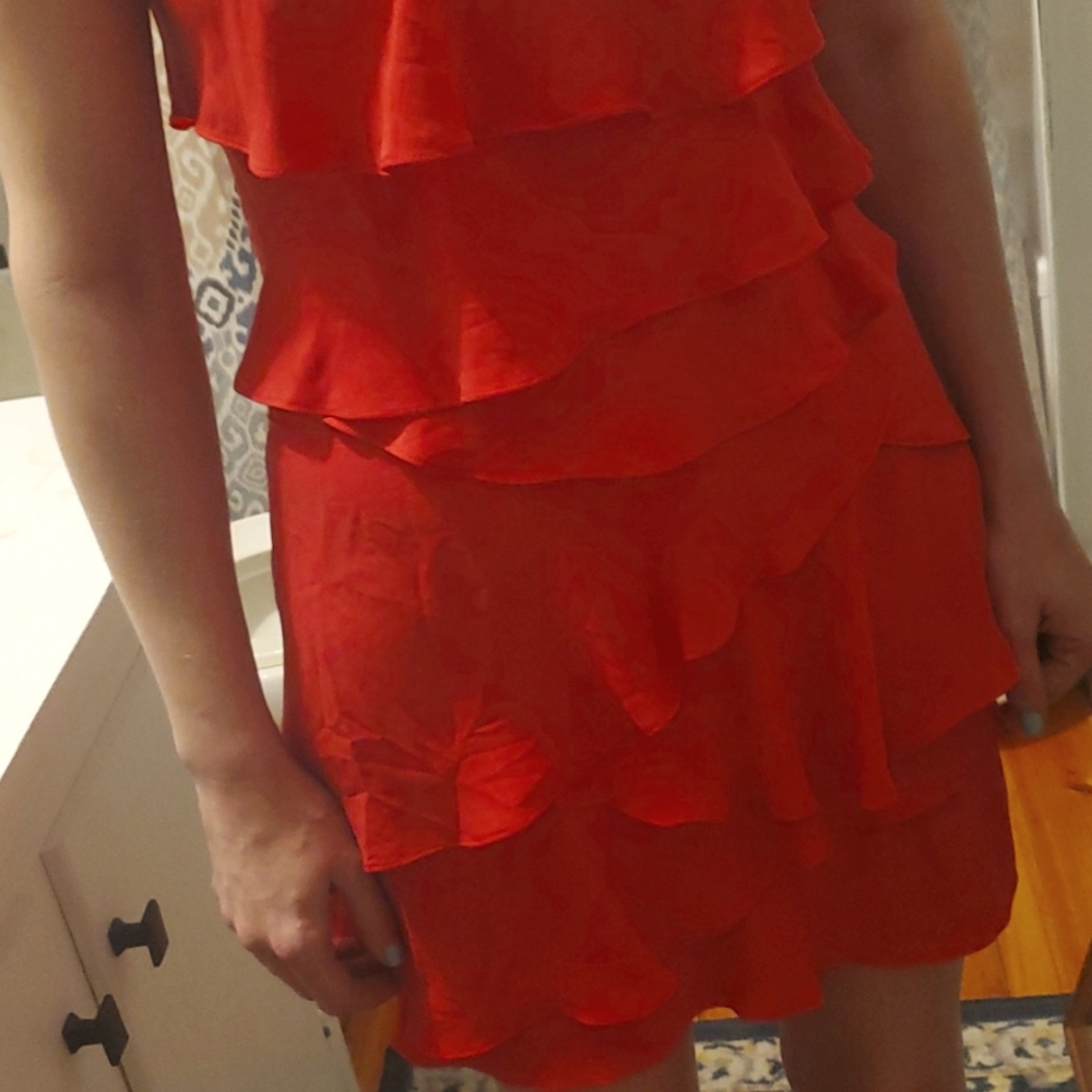 Red Ruffled Mini Dress - Picture 3 of 4